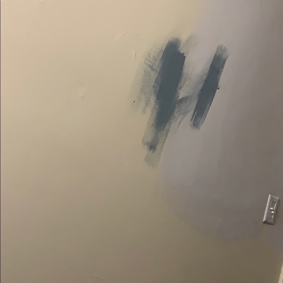 Meet your Posher, Alexander - Picture 1 of 1